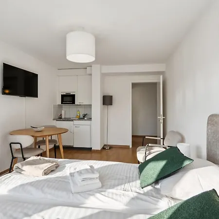 Daire Modern Center - Crown 33 Zürih